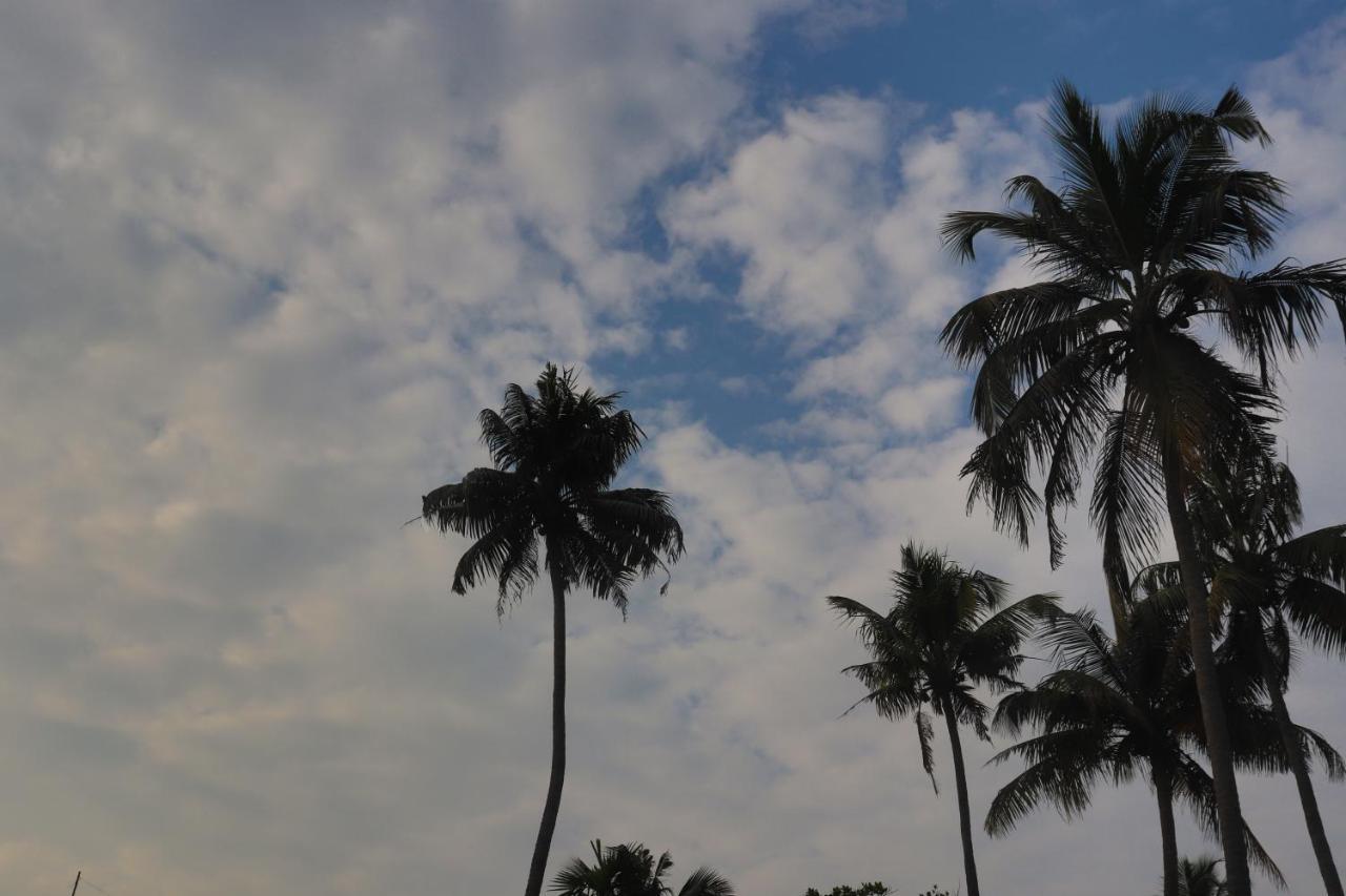 Noah's Ark Hotel Kochi Bagian luar foto